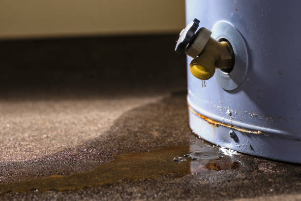 Professional Water damage restoration in Lake Hiawatha, NJ