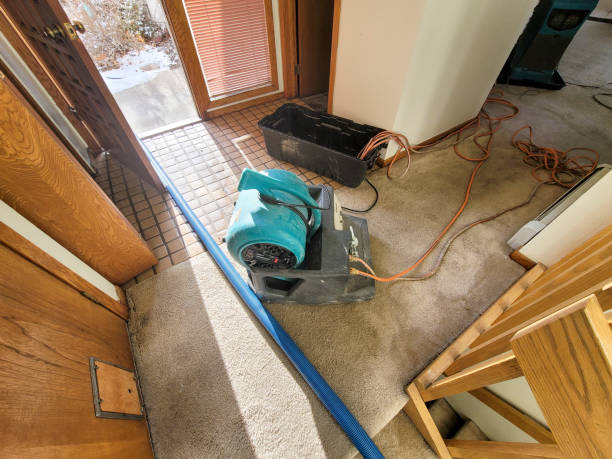 Best Water damage restoration specialists  in Lake Hiawatha, NJ
