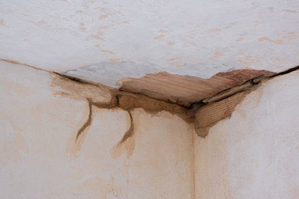 Best Emergency water damage restoration  in Lake Hiawatha, NJ