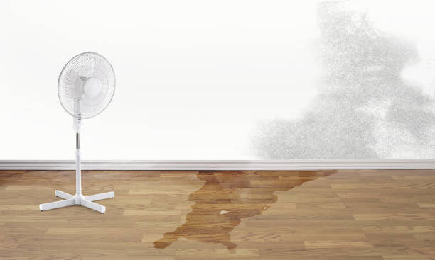 Best Sewage cleanup and water damage restoration  in Lake Hiawatha, NJ