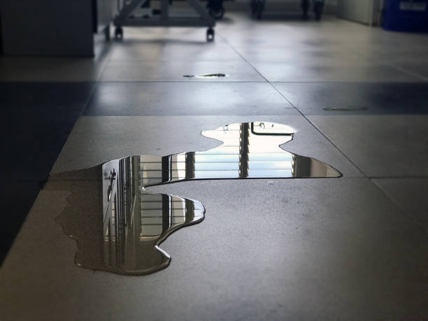 Best Professional water damage repair  in Lake Hiawatha, NJ