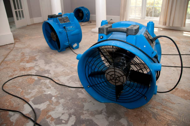 Best Water damage restoration near me  in Lake Hiawatha, NJ