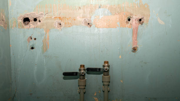 Best Water damage restoration near me  in Lake Hiawatha, NJ