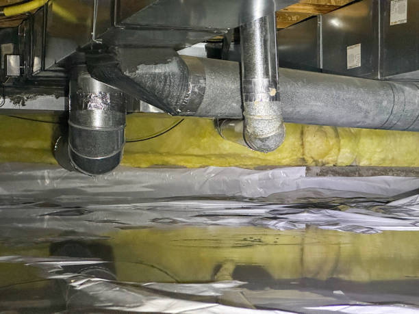 Best Professional water damage repair  in Lake Hiawatha, NJ