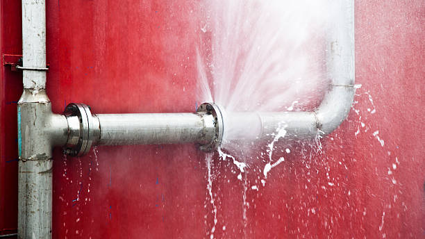 Best Mold removal after water damage  in Lake Hiawatha, NJ