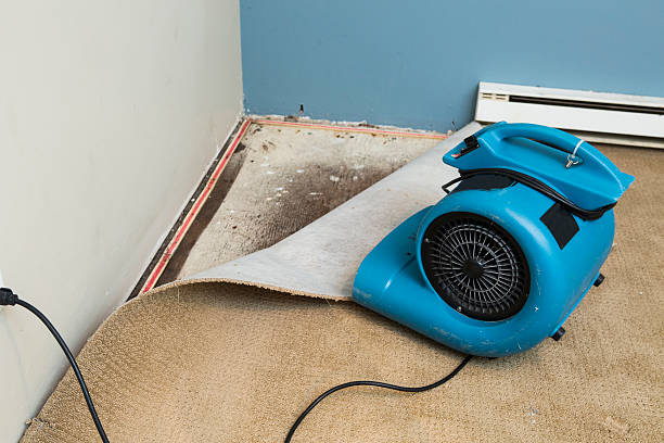 Water damage restoration mold remediation in Lake Hiawatha, NJ